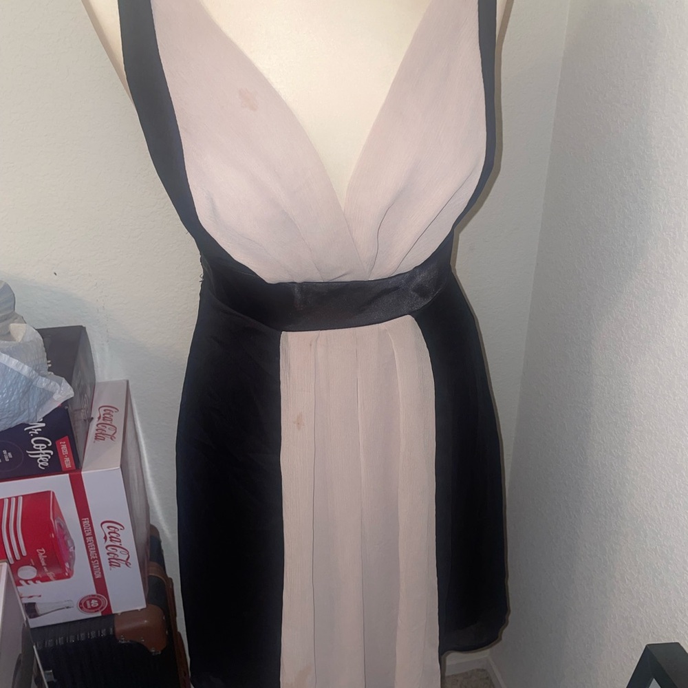 Anna Black and Taupe Dress